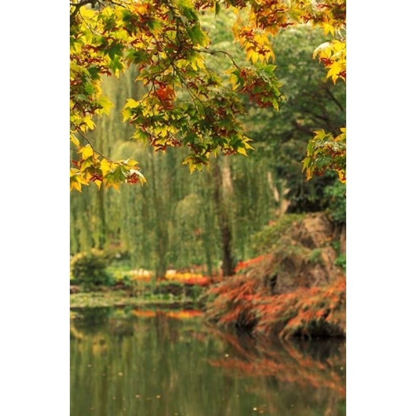 Colorful Fall Leaves at Butchart Gardens Victoria British Columbia Canada Print by Michele Westmorland Danita Image 1