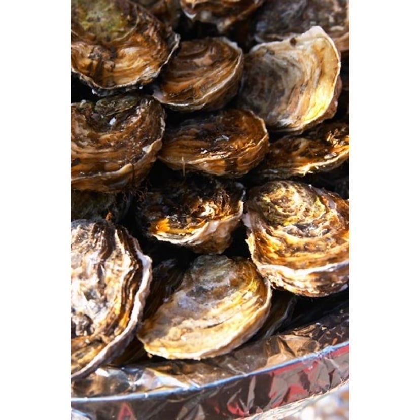 Plate of Oysters France Poster Print by Per Karlsson (18 x 27) Image 1