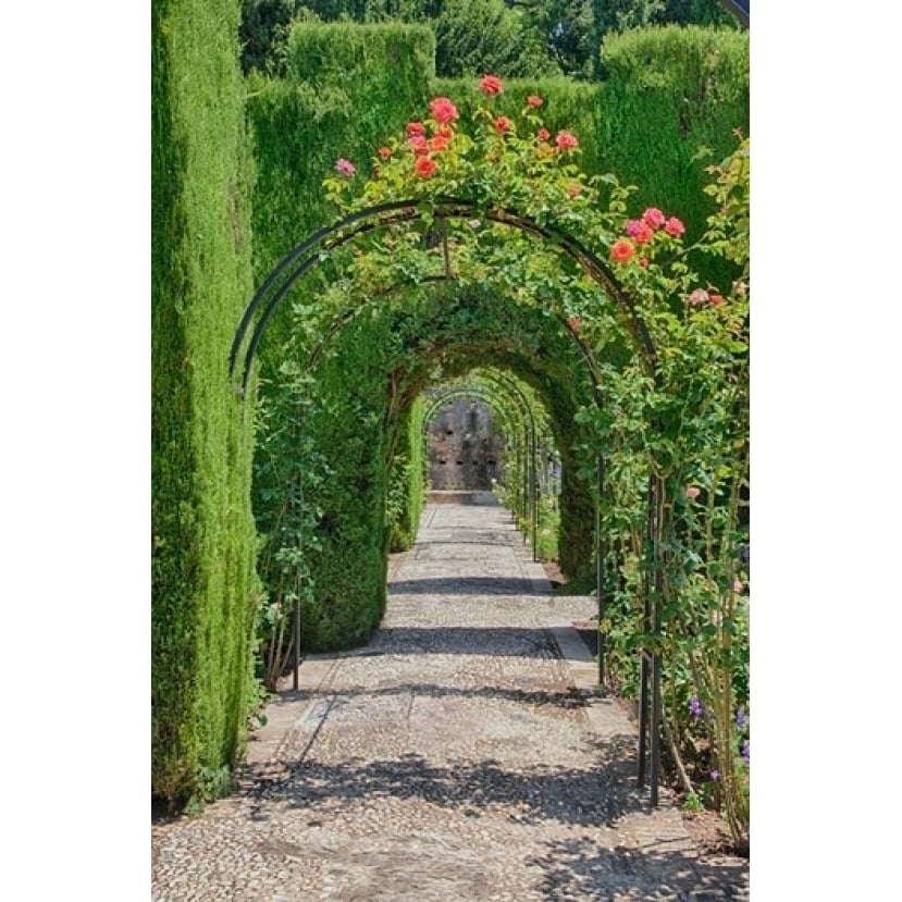 Archway of trees in the gardens of the Alhambra Granada Spain Poster Print by Julie Eggers (18 x 24) Image 1