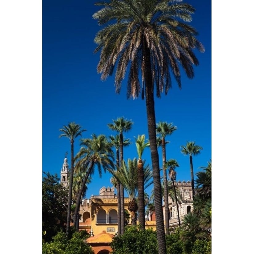 The Alcazar Gardens Seville Spain Poster Print by Walter Bibikow (18 x 24) Image 1