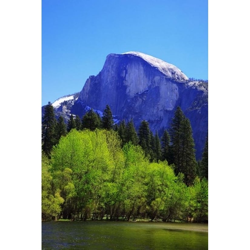 View of Half Dome rock and Merced River Yosemite National Park California Print by Jaynes Gallery Image 1