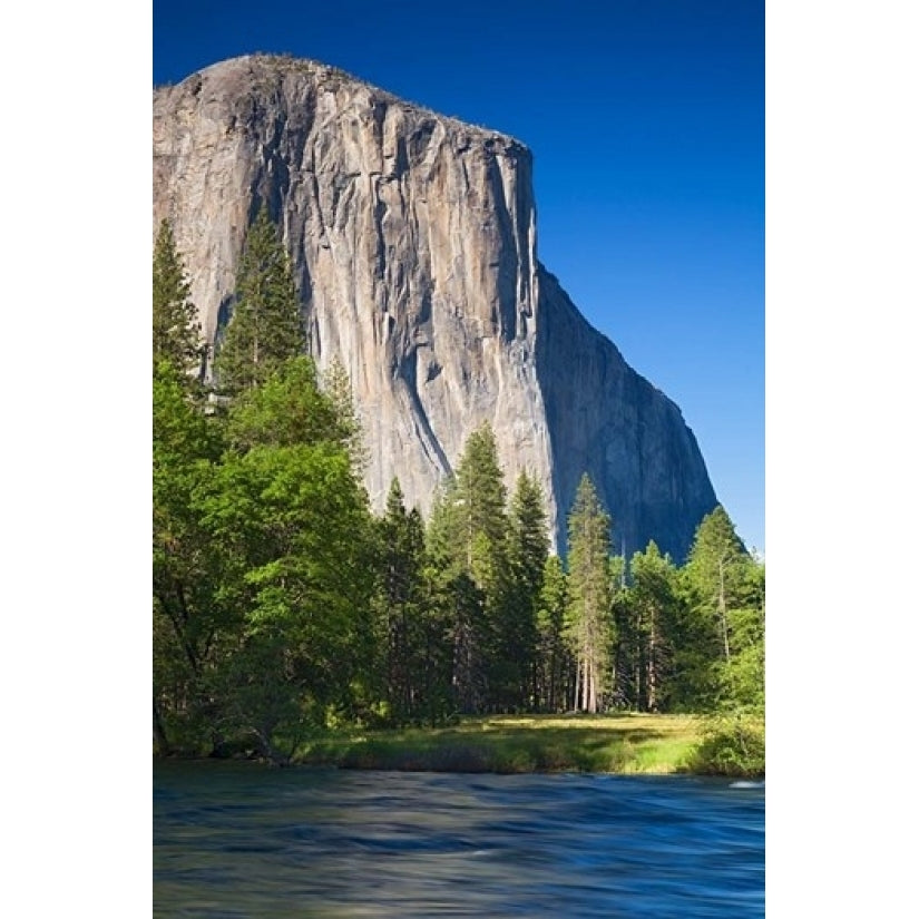 El Capitan and Merced River Yosemite NP CA Poster Print by Jamie and Judy Wild (11 x 17) Image 1