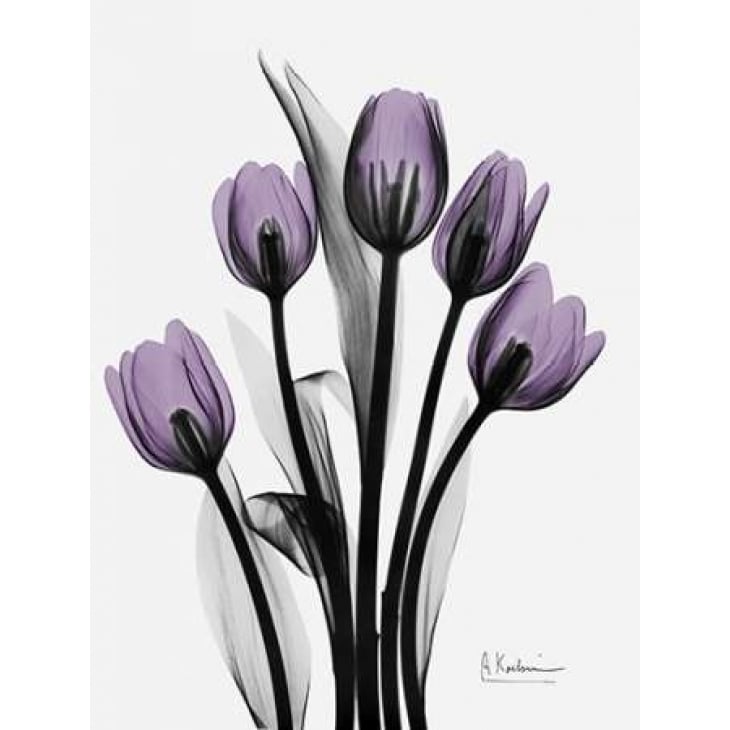 Five Tulips in Purple Poster Print by Albert Koetsier (9 x 12) Image 1