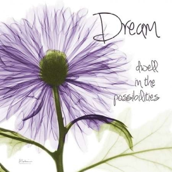 Purple Chrysanthemum Dream Poster Print by Albert Koetsier (12 x 12) Image 1