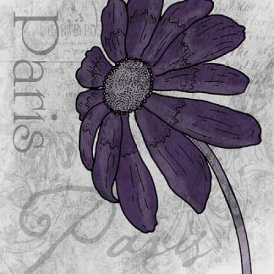 Paris plum Poster Print by Jace Grey (12 x 12) Image 1