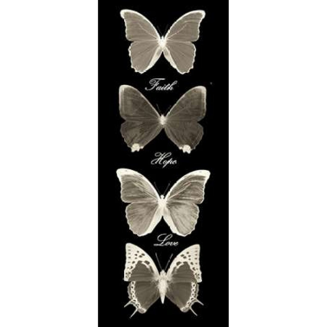 Hope Faith Love Butterflies 2 Poster Print by Taylor Greene (10 x 20) Image 1