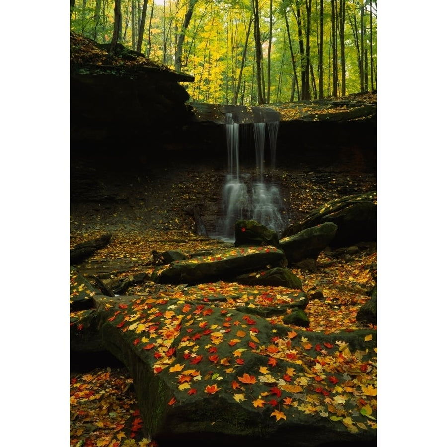 Waterfall in a forest Blue Hen Falls Cuyahoga Valley National Park Ohio USA Poster Print (19 x 27) Image 1