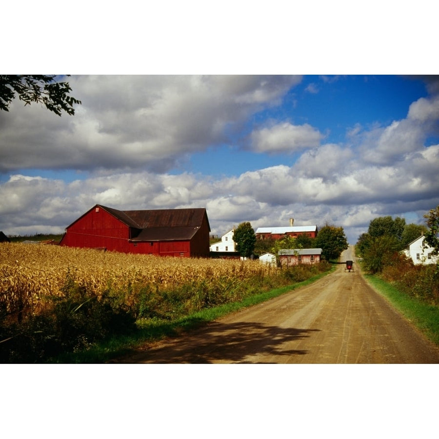 Amish farm buildings and corn field along country road Ohio USA. Poster Print (27 x 9) Image 1