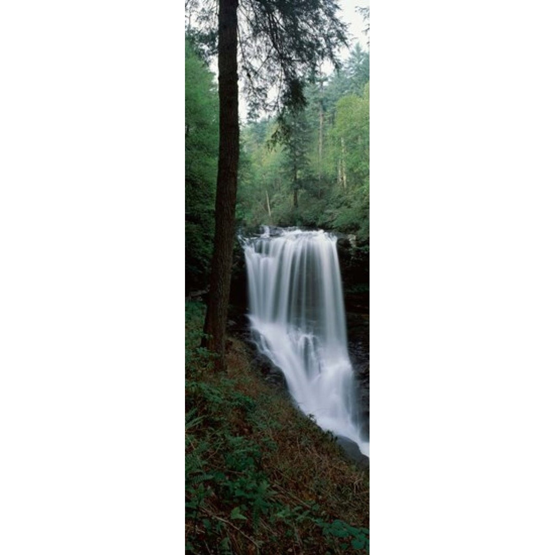 Dry Falls Nantahala National Forest Macon County North Carolina Poster Print by Panoramic Images (12 x 36) Image 1