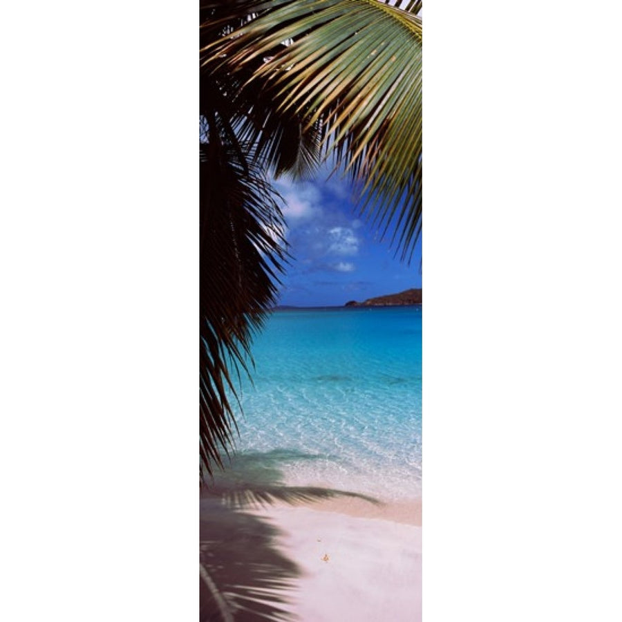 Palm tree on the beach Maho Bay Virgin Islands National Park St. John US Virgin Islands Poster Print (18 x 7) Image 1