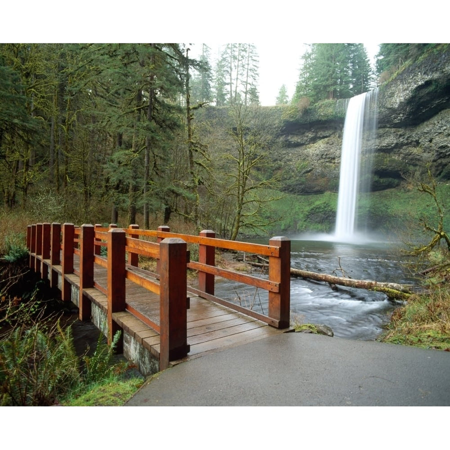 Footbridge across a river with a waterfall in the background Silver Falls State Park Salem Oregon USA (14 x 11) Image 1