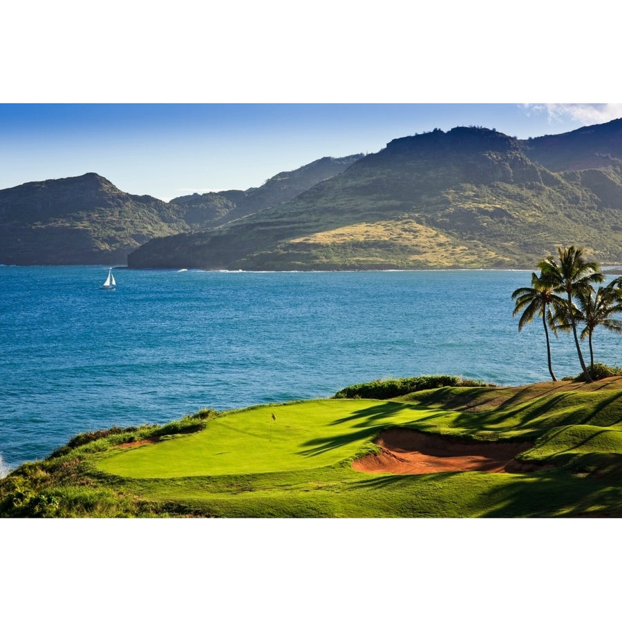 Palm trees in a golf course Kauai Lagoons Kauai Hawaii USA Poster Print (27 x 9) Image 1