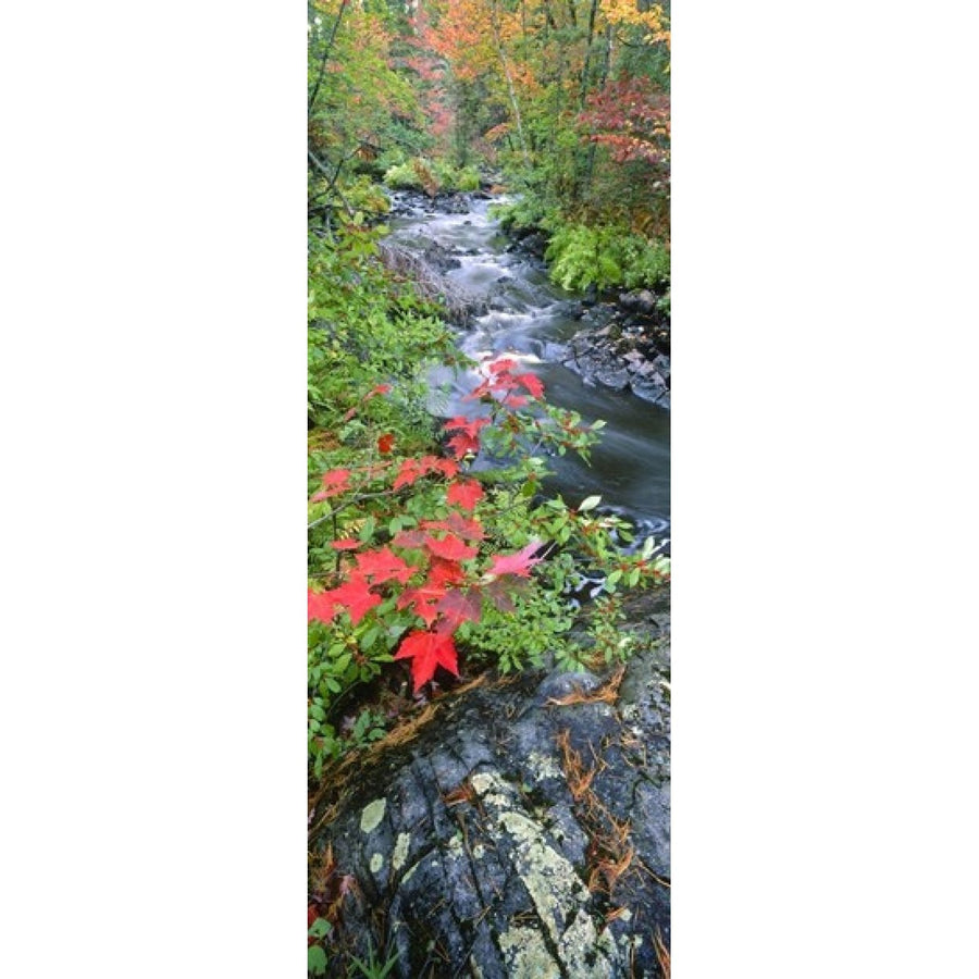 River flowing through a forest Black River Upper Peninsula Michigan USA Poster Print (36 x 13) Image 1