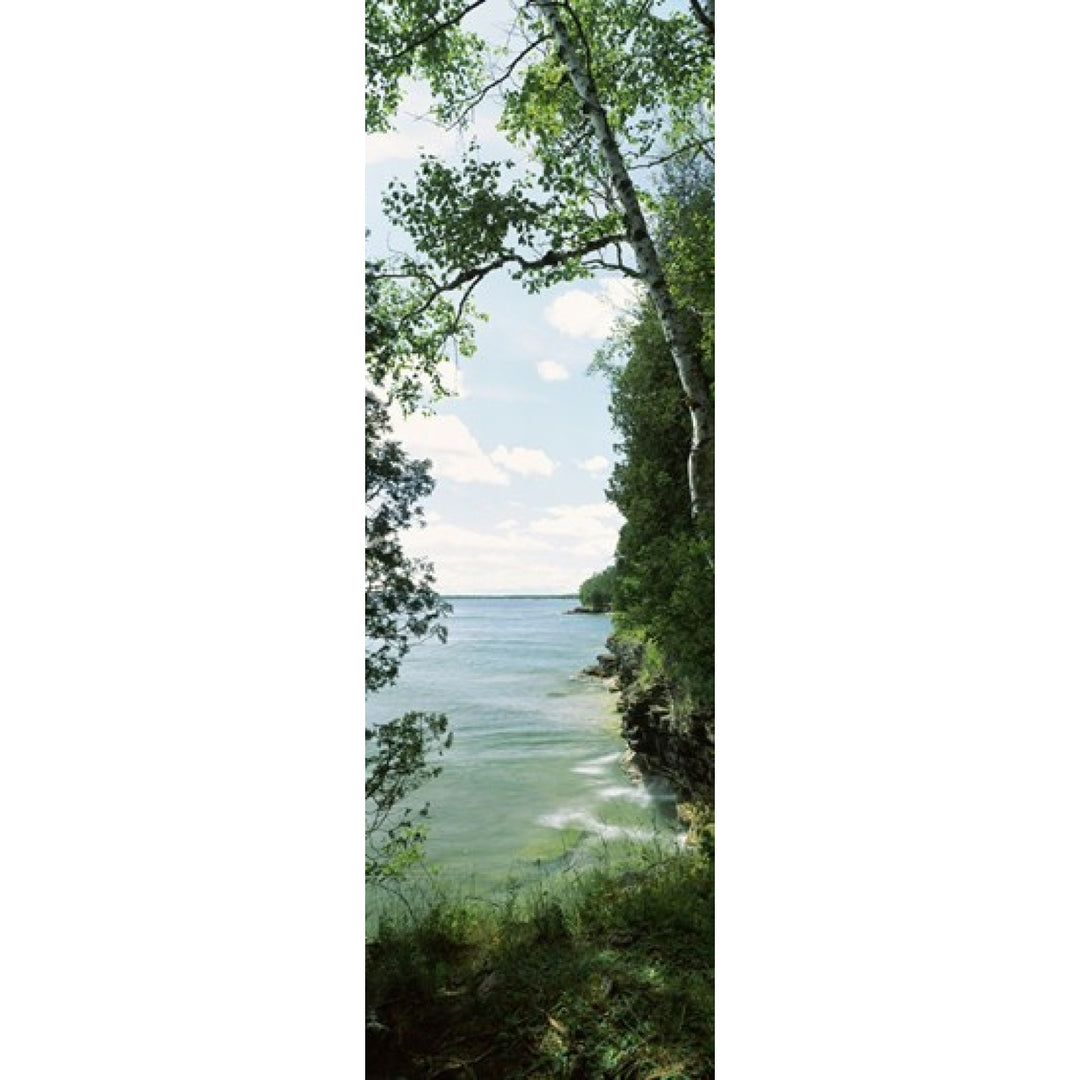 Trees at the lakeside Cave Point County Park Lake Michigan Door County Wisconsin USA Poster Print (36 x 12) Image 1