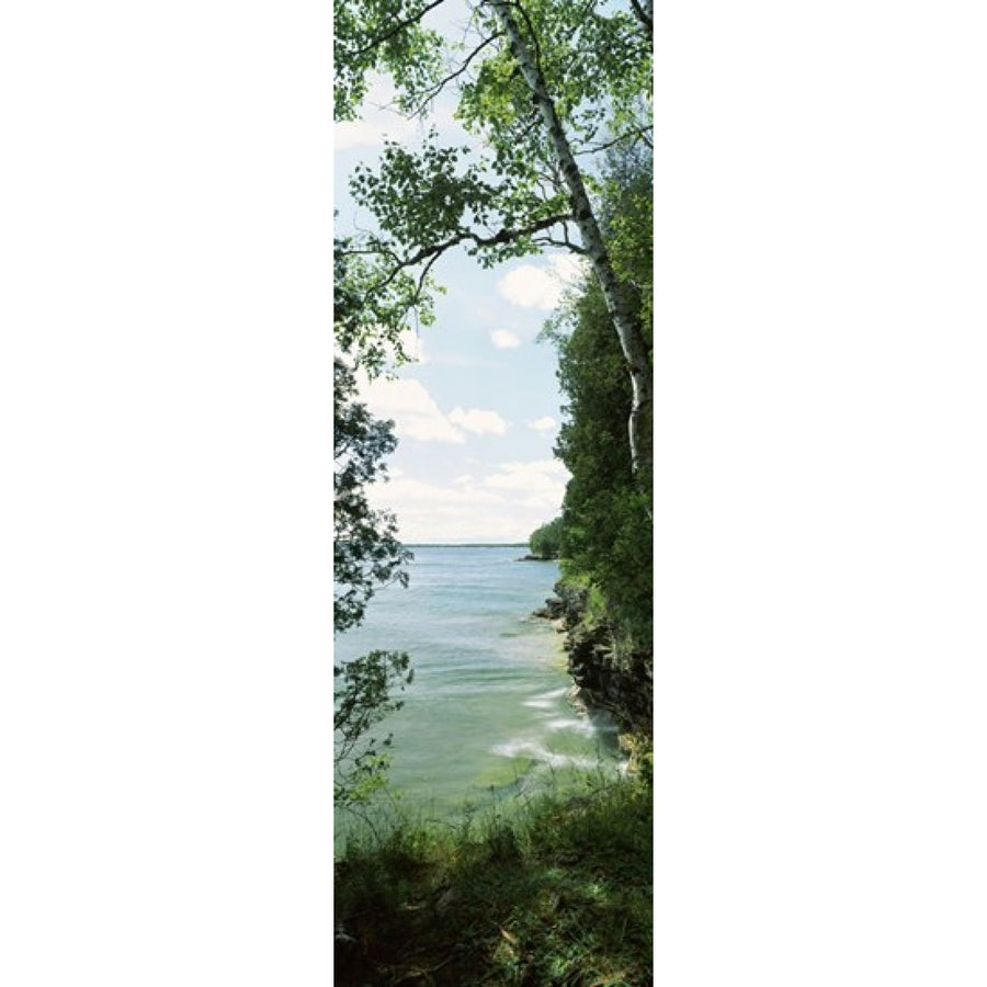 Trees at the lakeside Cave Point County Park Lake Michigan Door County Wisconsin USA Poster Print (36 x 12) Image 1