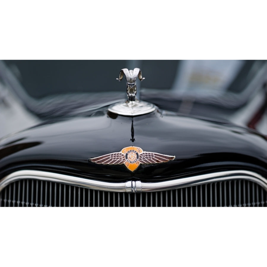 Close-up of a hood ornament of Dodges car Culver City Los Angeles County California USA Poster Print (36 x 12) Image 1