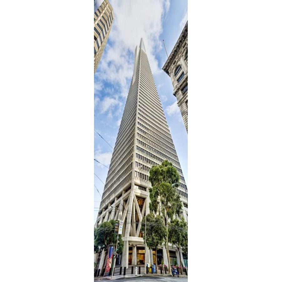 Low angle view of skyscrapers Transamerica Pyramid San Francisco California USA 2011 Poster Print (36 x 12) Image 1