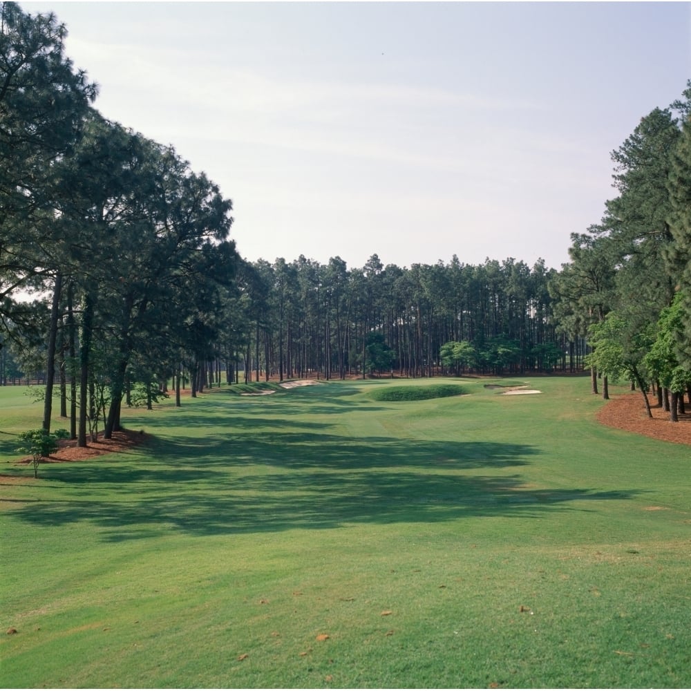 17th hole at golf course Pinehurst Resort Pinehurst Moore County North Carolina USA Poster Print (12 x 12) Image 1