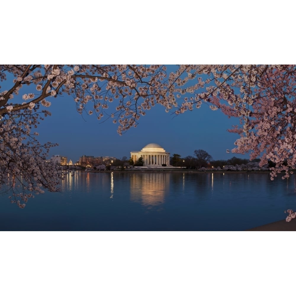 Cherry Blossom tree with a memorial in the background Jefferson Memorial Washington DC USA Poster Print (36 x 12) Image 1