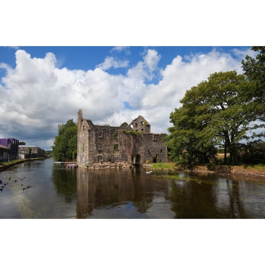 Rudkins Mill on the River Barrow Muine Bheag County Carlow Ireland Poster Print (18 x 12) Image 1