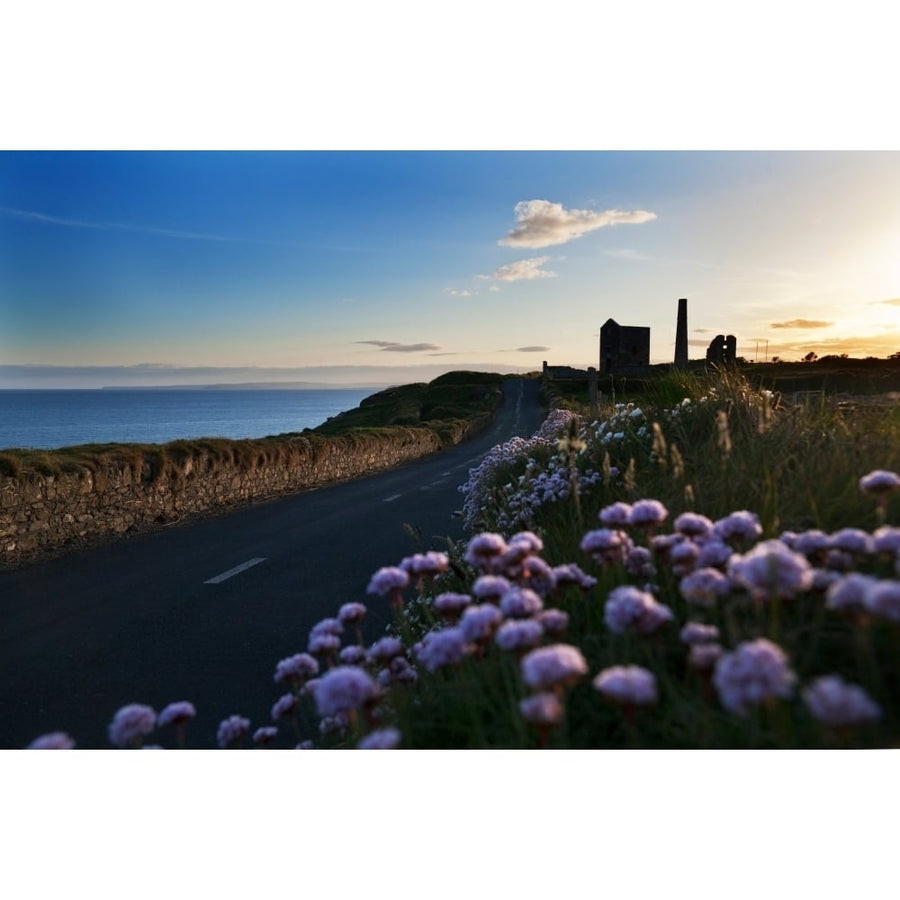 Seapink lining the country road County Waterford Ireland Poster Print (27 x 9) Image 1