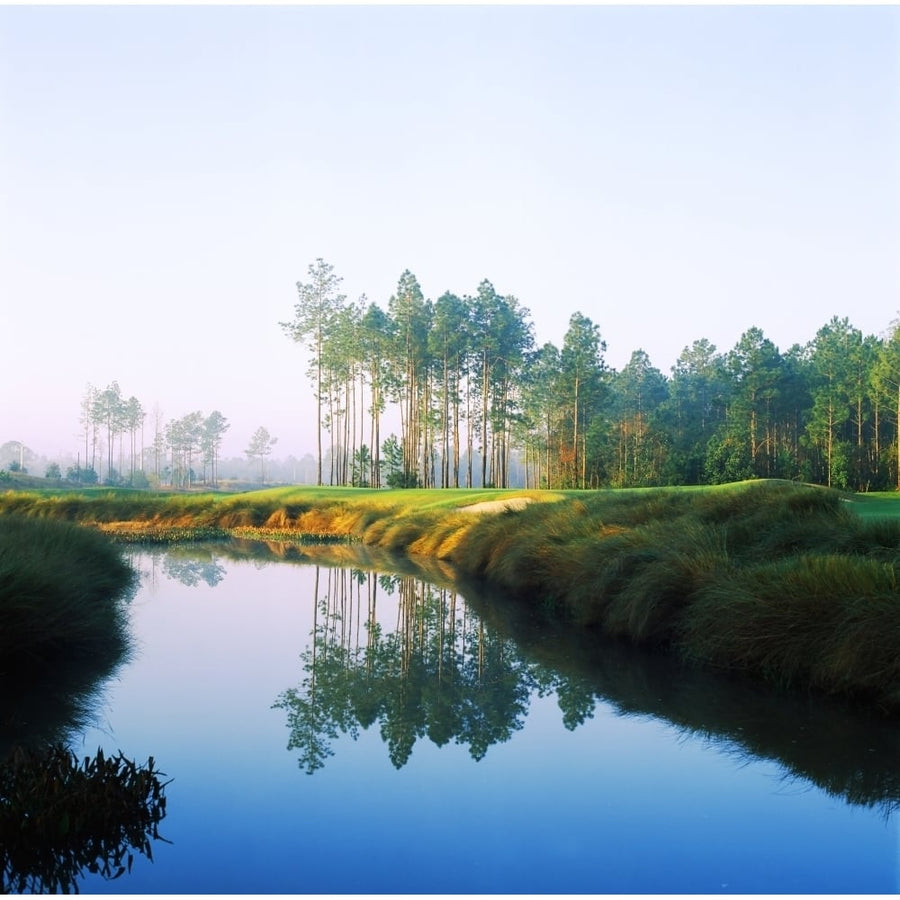 Reflection of trees on water in a golf course Slammer and Squire Golf Course St Augustine Florida USA (12 x 12) Image 1