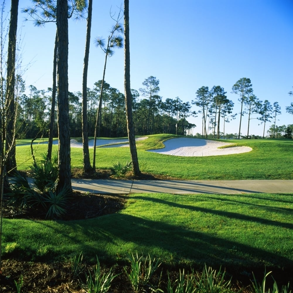 Sand trap in a golf course Regatta Bay Golf Course and Country Club Destin Okaloosa County Florida USA (12 x 12) Image 1