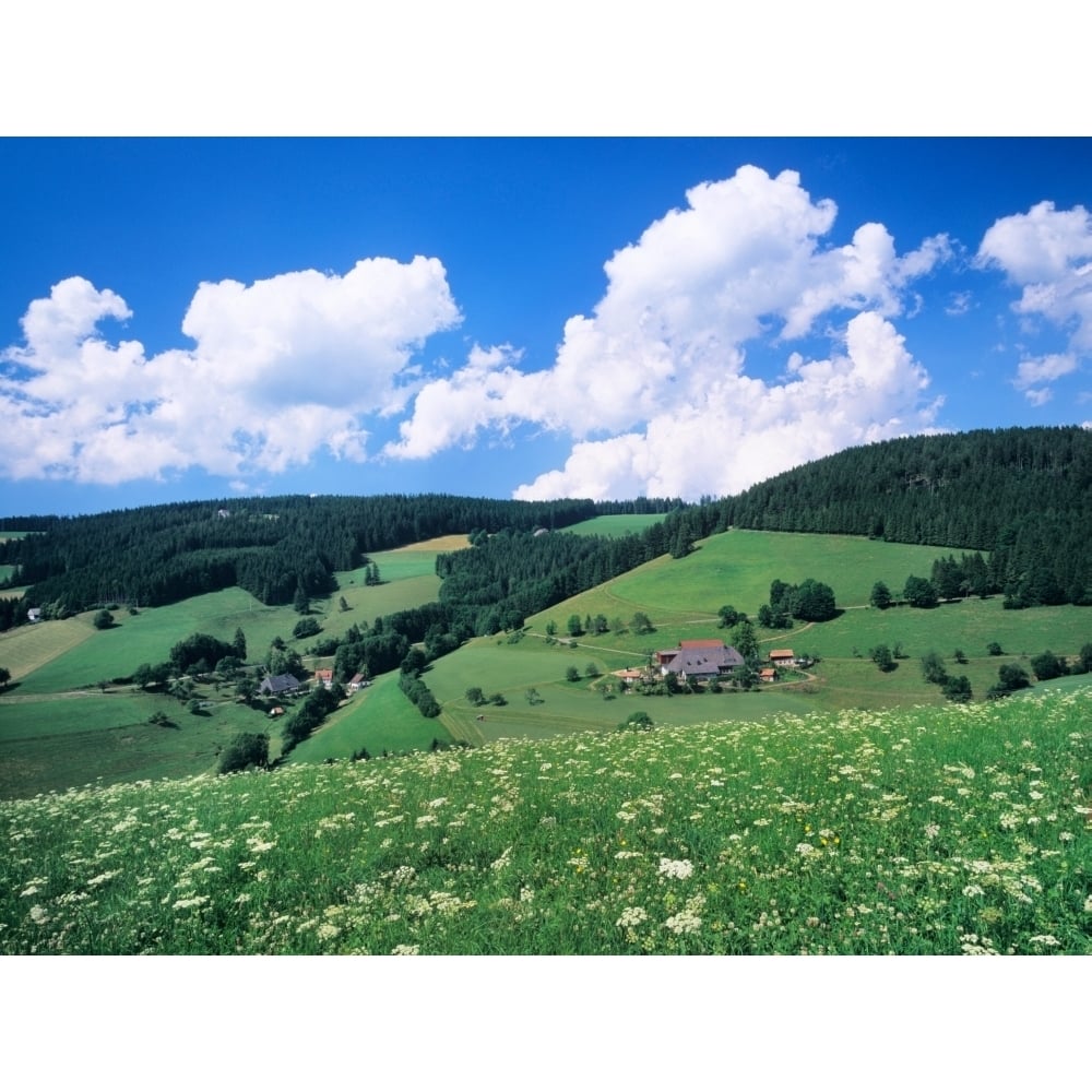 Farmhouse in a field Glottertal Valley Black Forest Baden-Wurttemberg Germany Poster Print (12 x 16) Image 1