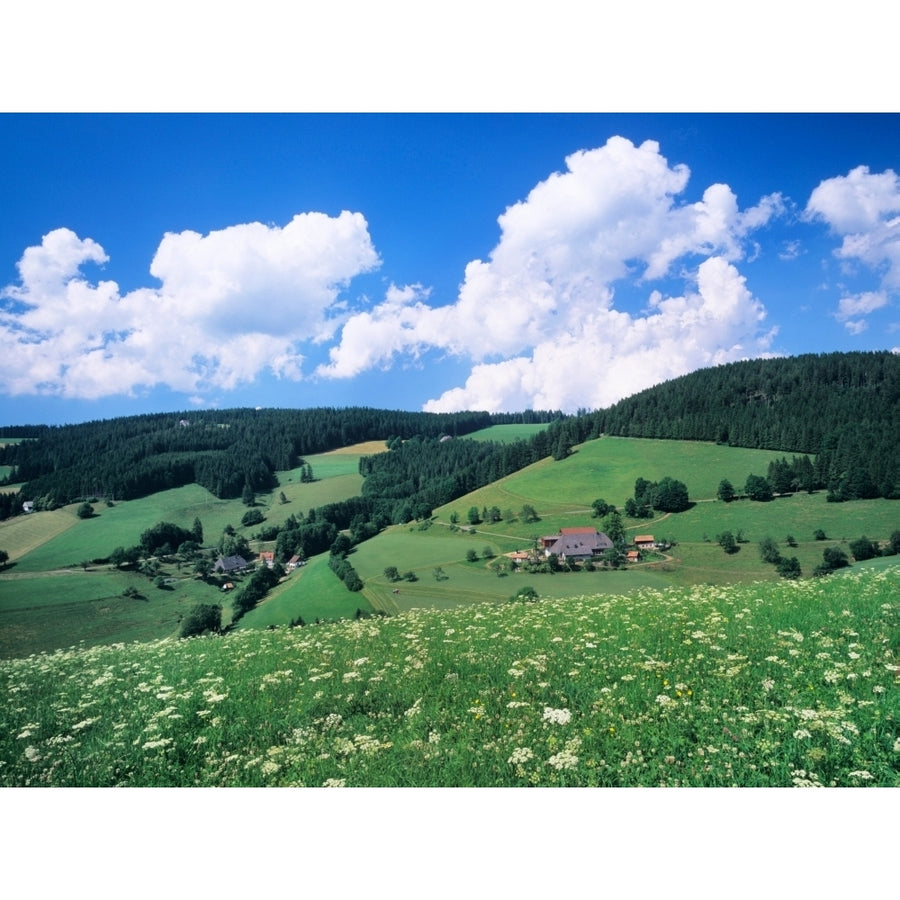 Farmhouse in a field  Glottertal Valley  Black Forest  Baden-Wurttemberg  Germany Poster Print (12 x 16) Image 1