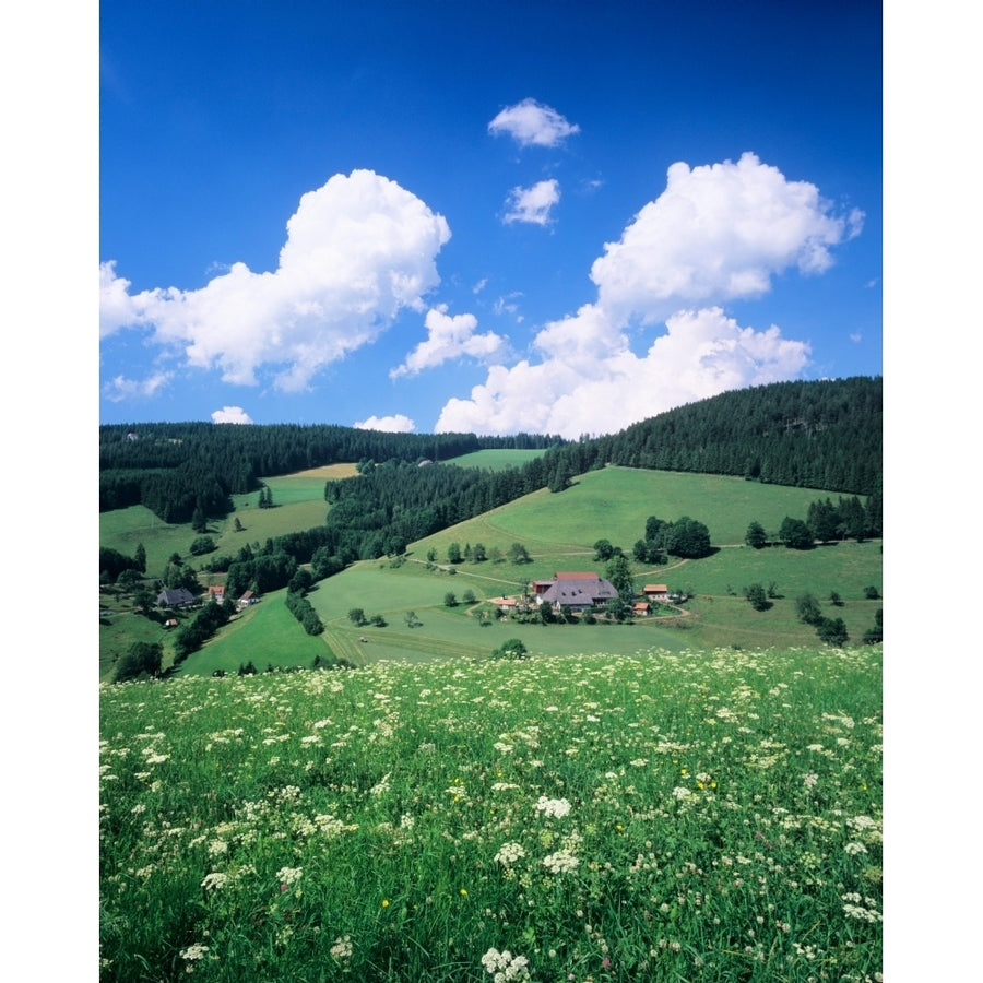 Farmhouse in a field  Glottertal Valley  Black Forest  Baden-Wurttemberg  Germany Poster Print (12 x 36) Image 1