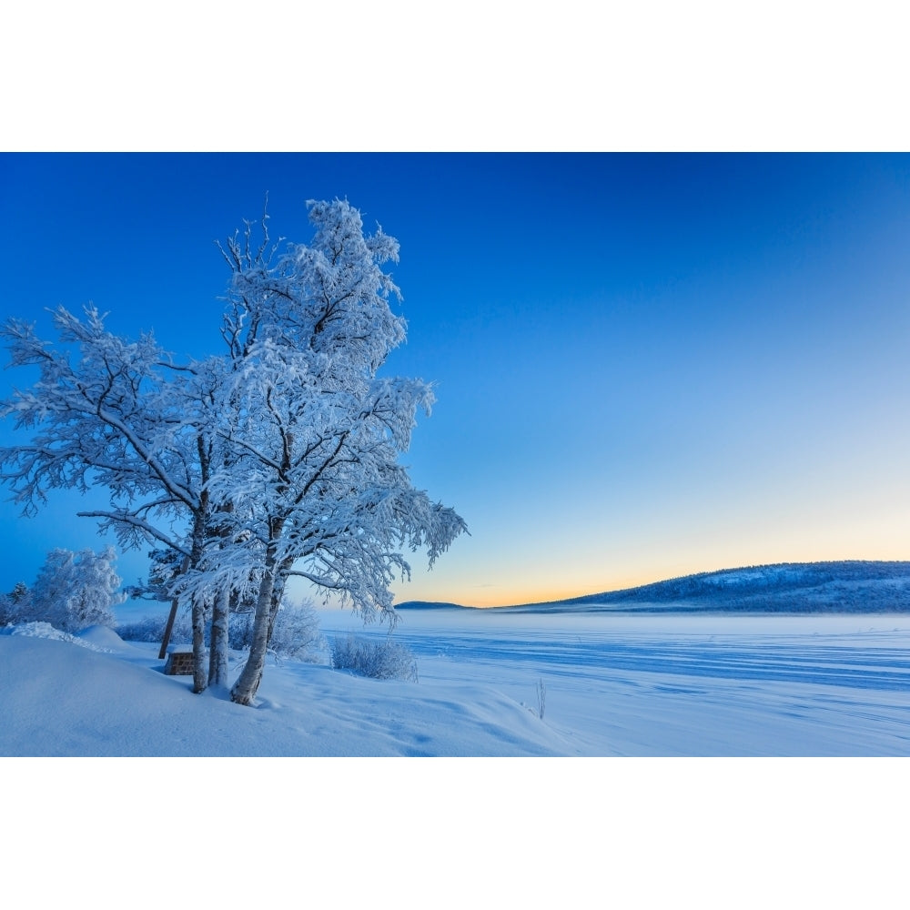 Snow covered trees in extreme cold temperatures Lapland Sweden Poster Print (27 x 9) Image 1