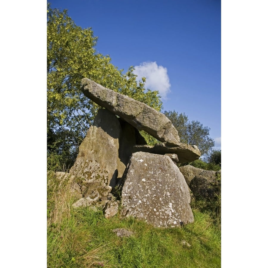 Kilmogue Megalithic Tomb Harristown County Kilkenny Ireland Poster Print (36 x 12) Image 1