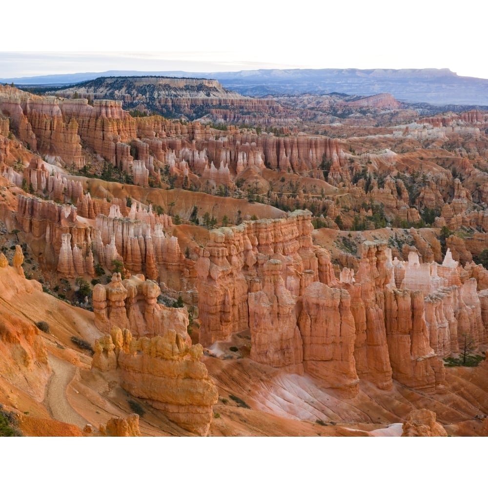 Hoodoo rock formations in a canyon from Sunset Point Bryce Canyon National Park Utah USA Poster Print (15 x 12) Image 1