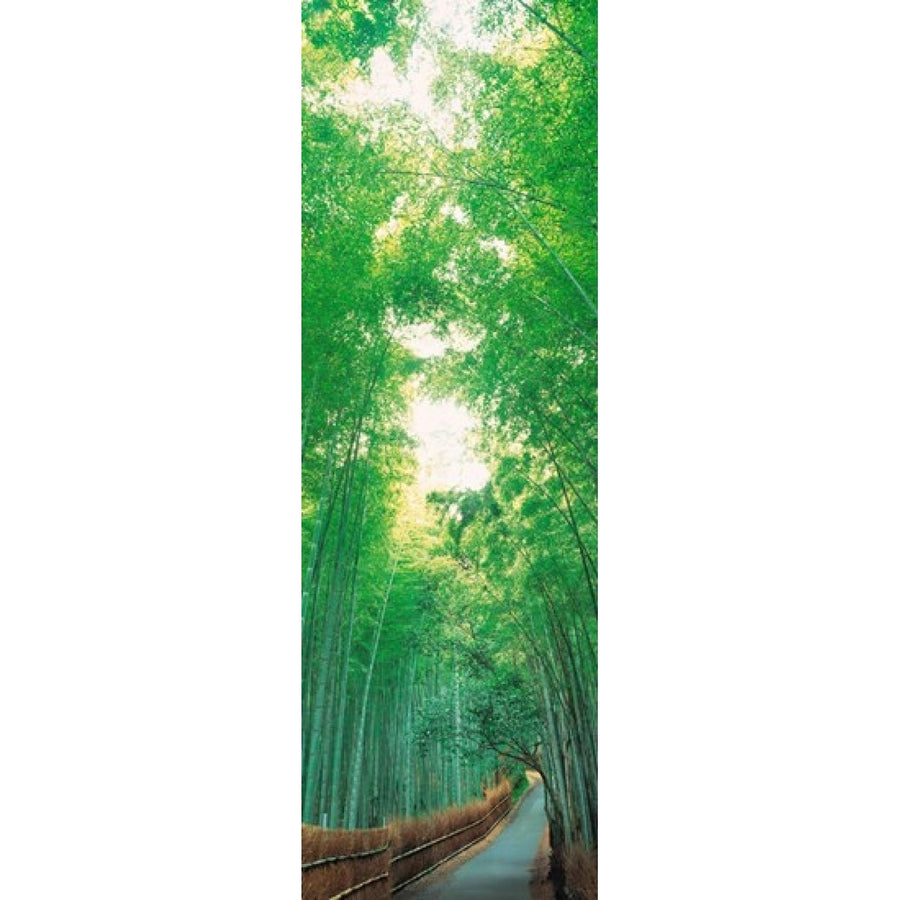 Sagano Kyoto Japan Poster Print (36 x 12) Image 1