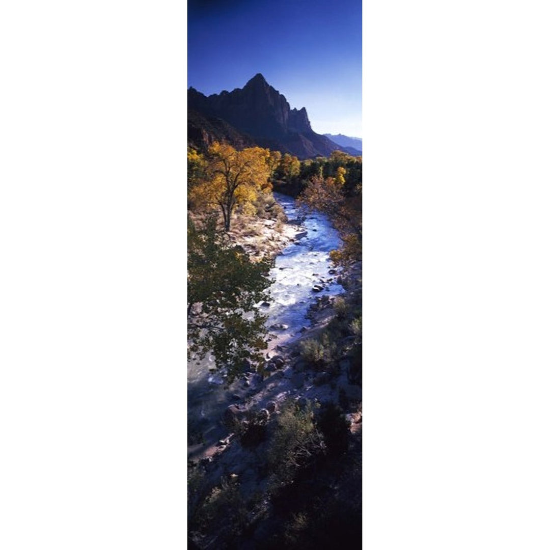 High angle view of a river flowing through a forest Virgin River Zion National Park Utah USA Poster Print (36 x 12) Image 1