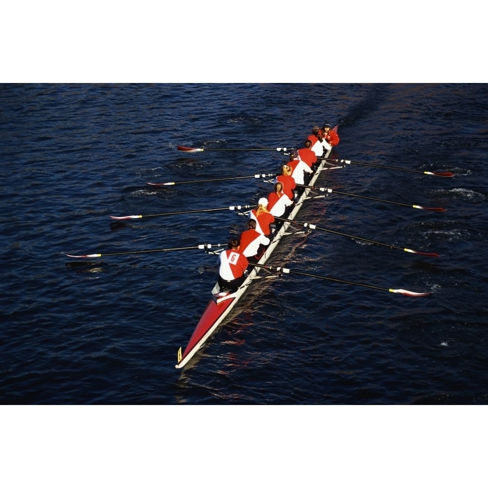 Crew Boat at Head of Charles Regatta Poster Print (27 x 9) Image 1