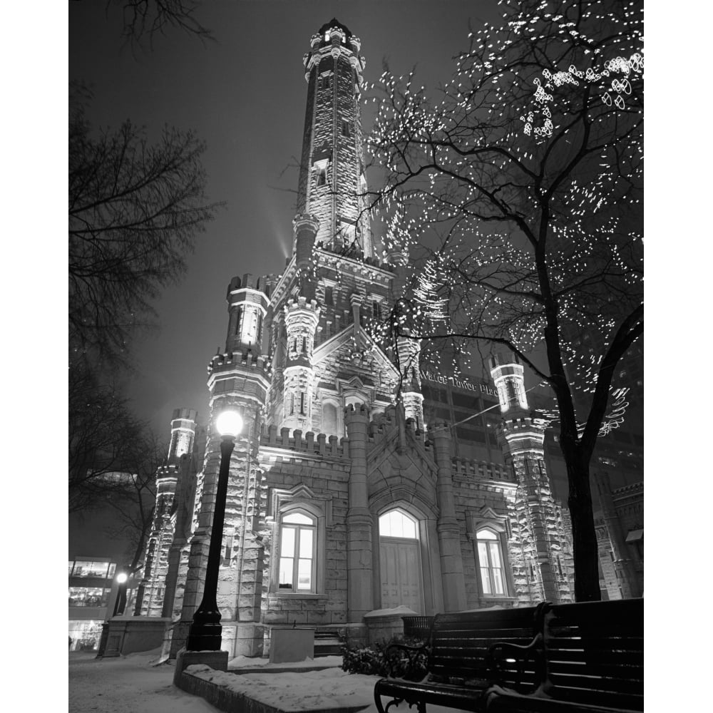 Water Tower Chicago IL Poster Print (28 x 22) Image 1