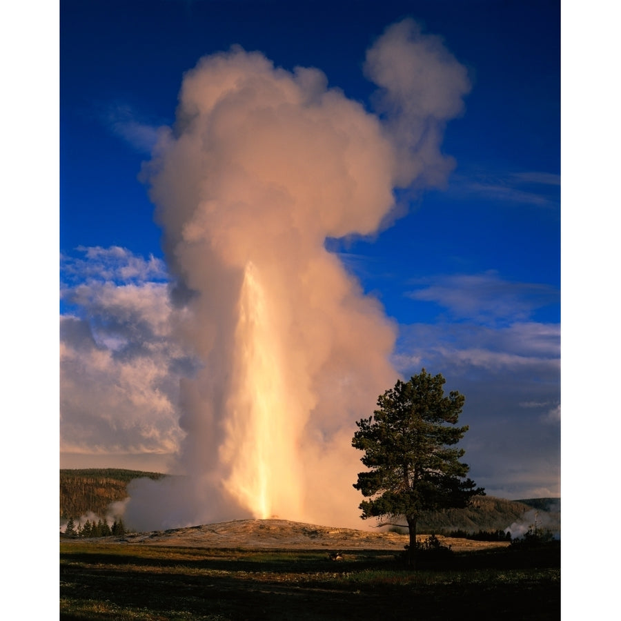 USA Wyoming Yellowstone National Park Old Faithful Steam and water erupting from thermal pool Poster Print (28 x 22) Image 1