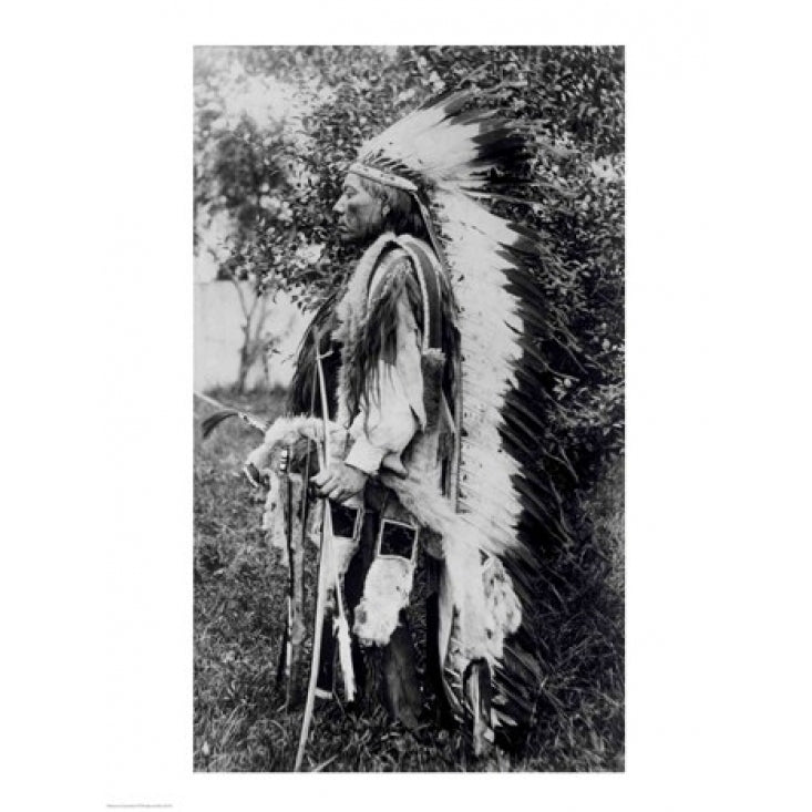 White Wolf a Comanche Chief Poster Print Image 2