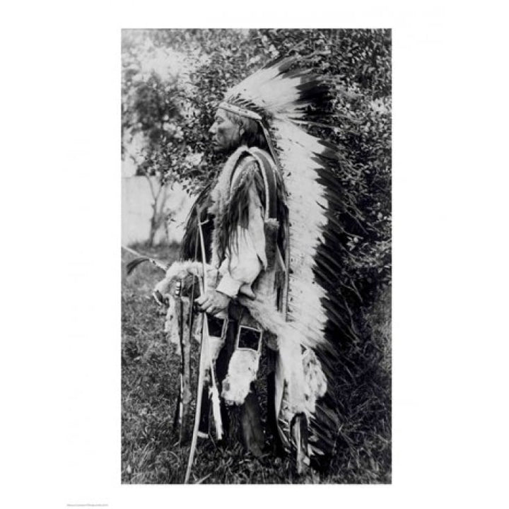 White Wolf a Comanche Chief Poster Print Image 1