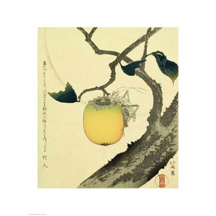 Moon Persimmon and Grasshopper 1807 Poster Print by Katsushika Hokusai Image 1