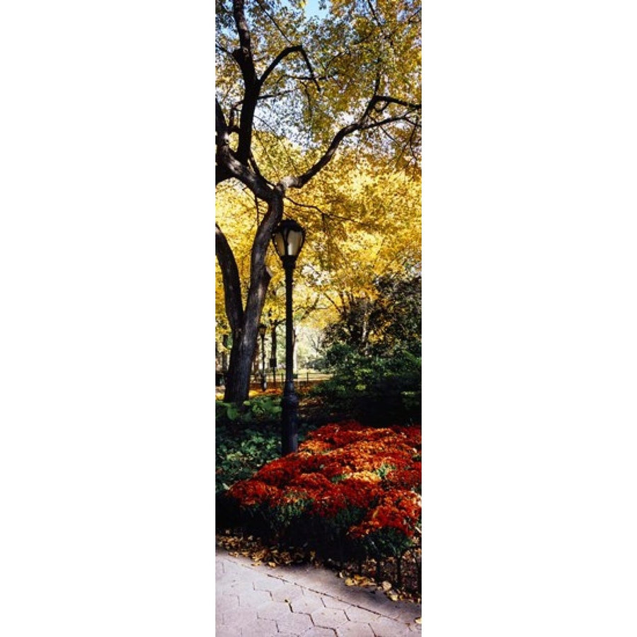 Lamppost in a park Central Park Manhattan York City York USA Poster Print (36 x 12) Image 1