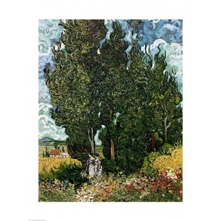 The Cypresses Poster Print by Vincent Van Gogh Image 1