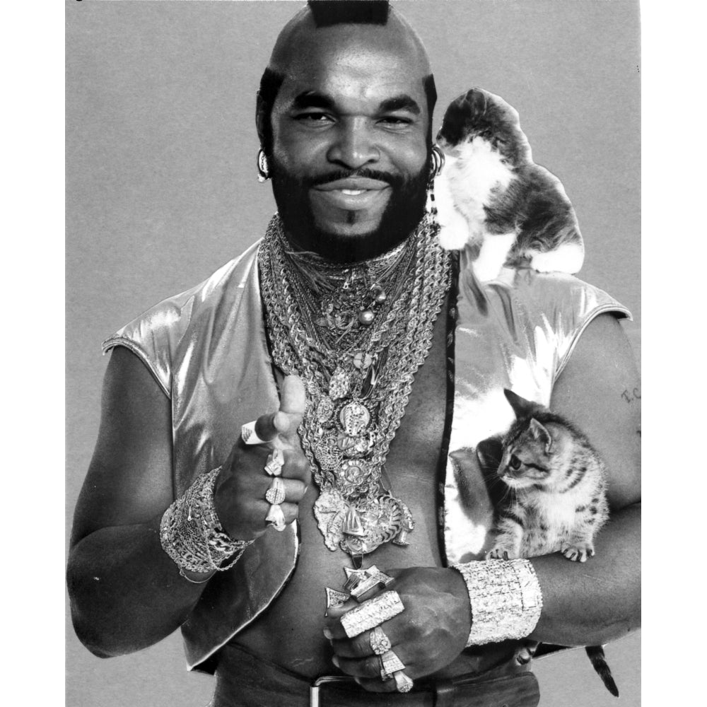 Mr T with kittens Photo Print Image 1