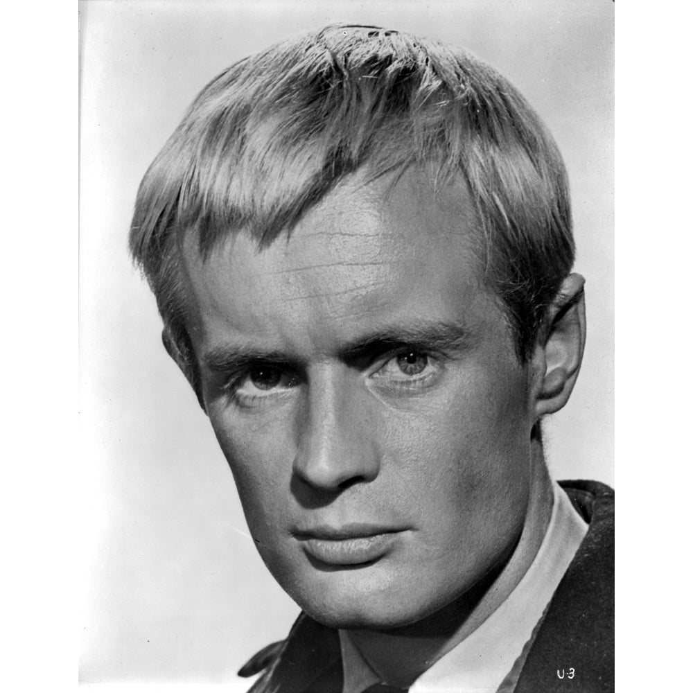 David McCallum Photo Print Image 1