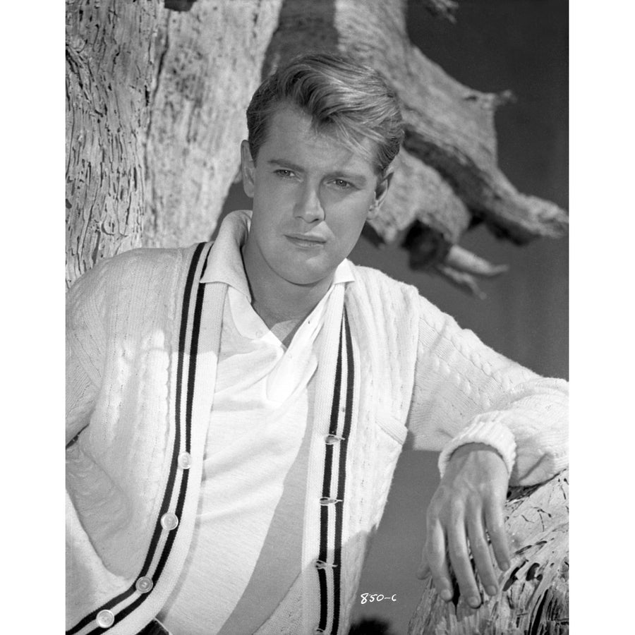 A Portrait Of Troy Donahue Photo Print Image 1