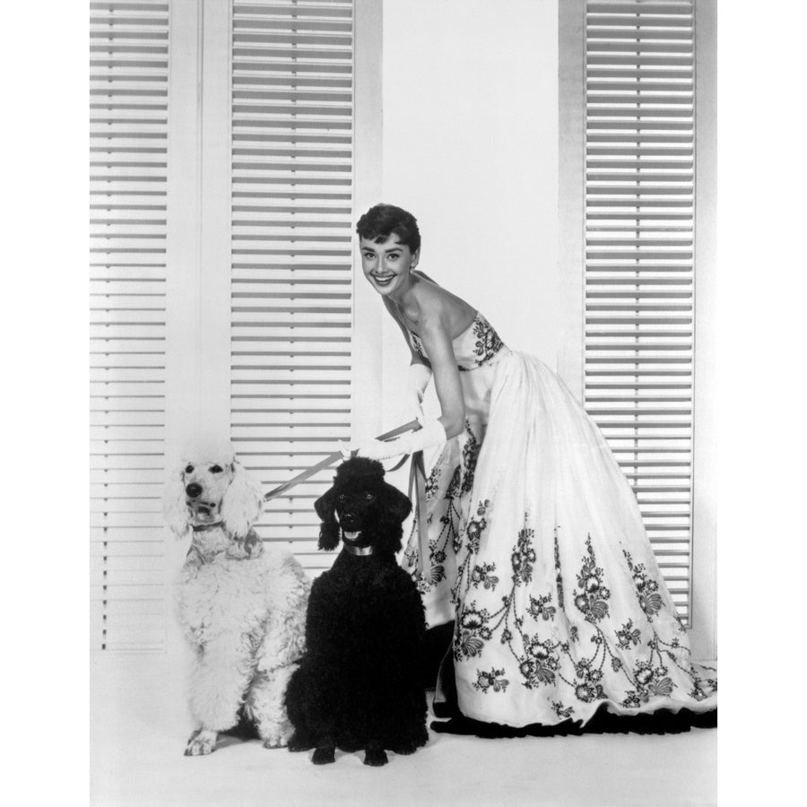 Audrey Hepburn And Dogs Photo Print Image 1