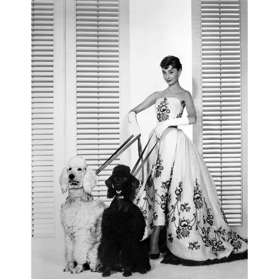 Audrey Hepburn Walking Dogs Sabrina Photo Print Image 1