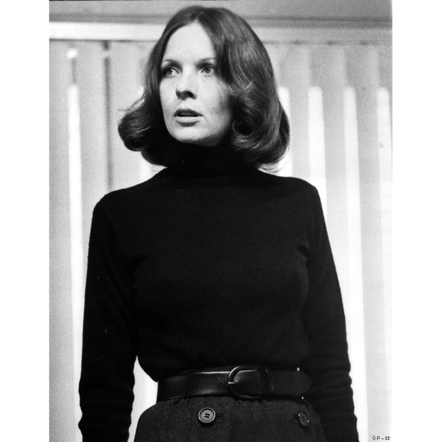 Diane Keaton Posed in Classic Photo Print Image 1