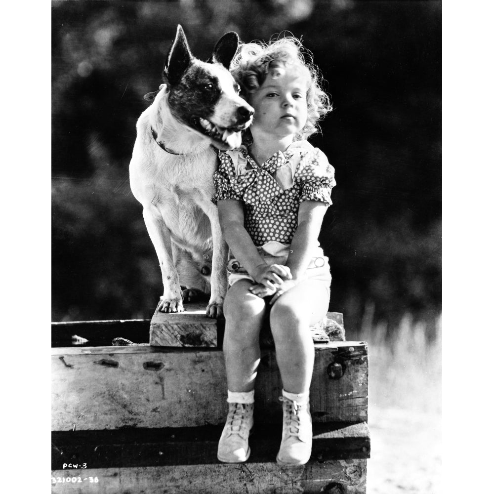 Shirley Temple sitting with a Dog in a Classic Portrait Photo Print Image 1